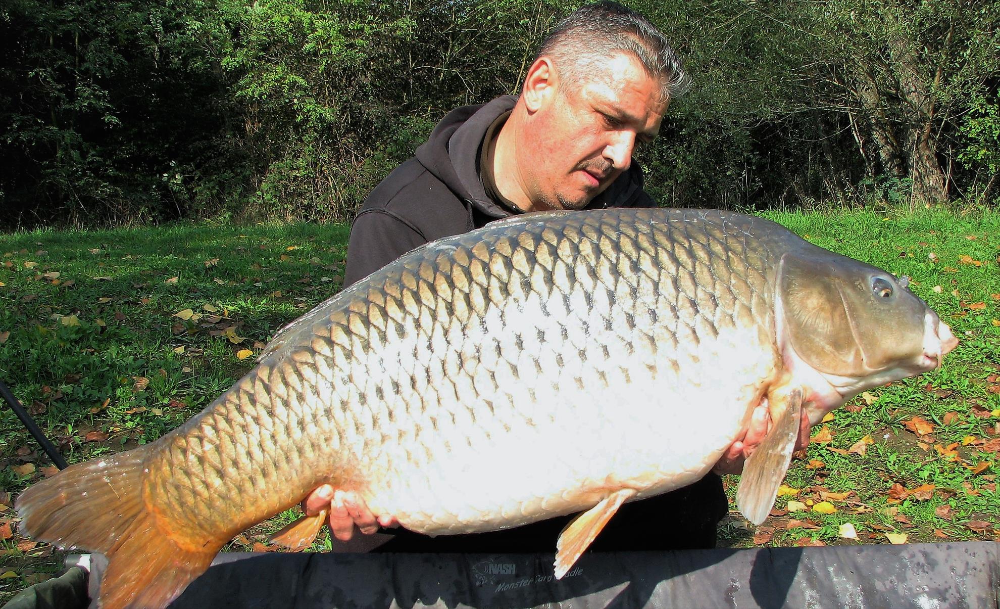 Pelagicevo 8 - 15 octombrie 2017 - img111.jpg